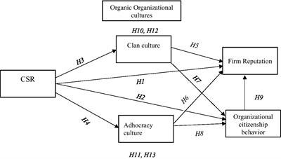 The impact of corporate social responsibility on firm reputation and organizational citizenship behavior: The mediation of organic organizational cultures